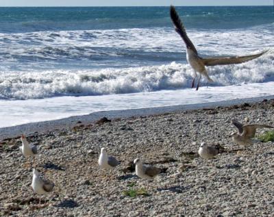 Прикрепленное изображение: DSCF8068.jpg